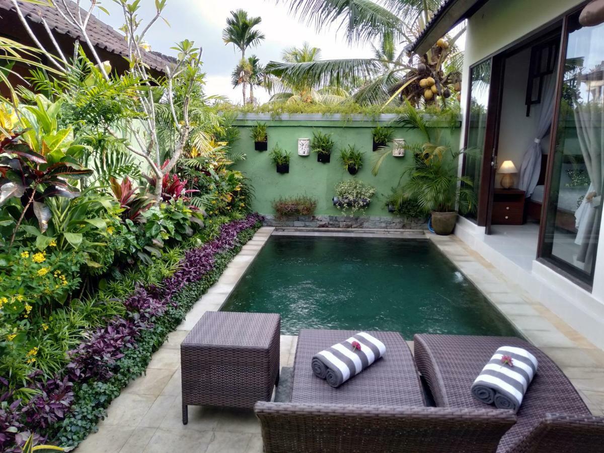 Rumah Mini Appartement Ubud Buitenkant foto